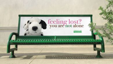 Photo of Реклама проекта на тематических сайтах